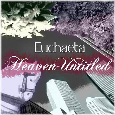  Euchaeta Heaven Untitled