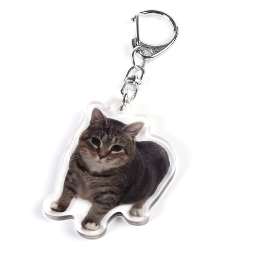 Japanese internet memes OIIA猫ミームアクリルキーホルダー